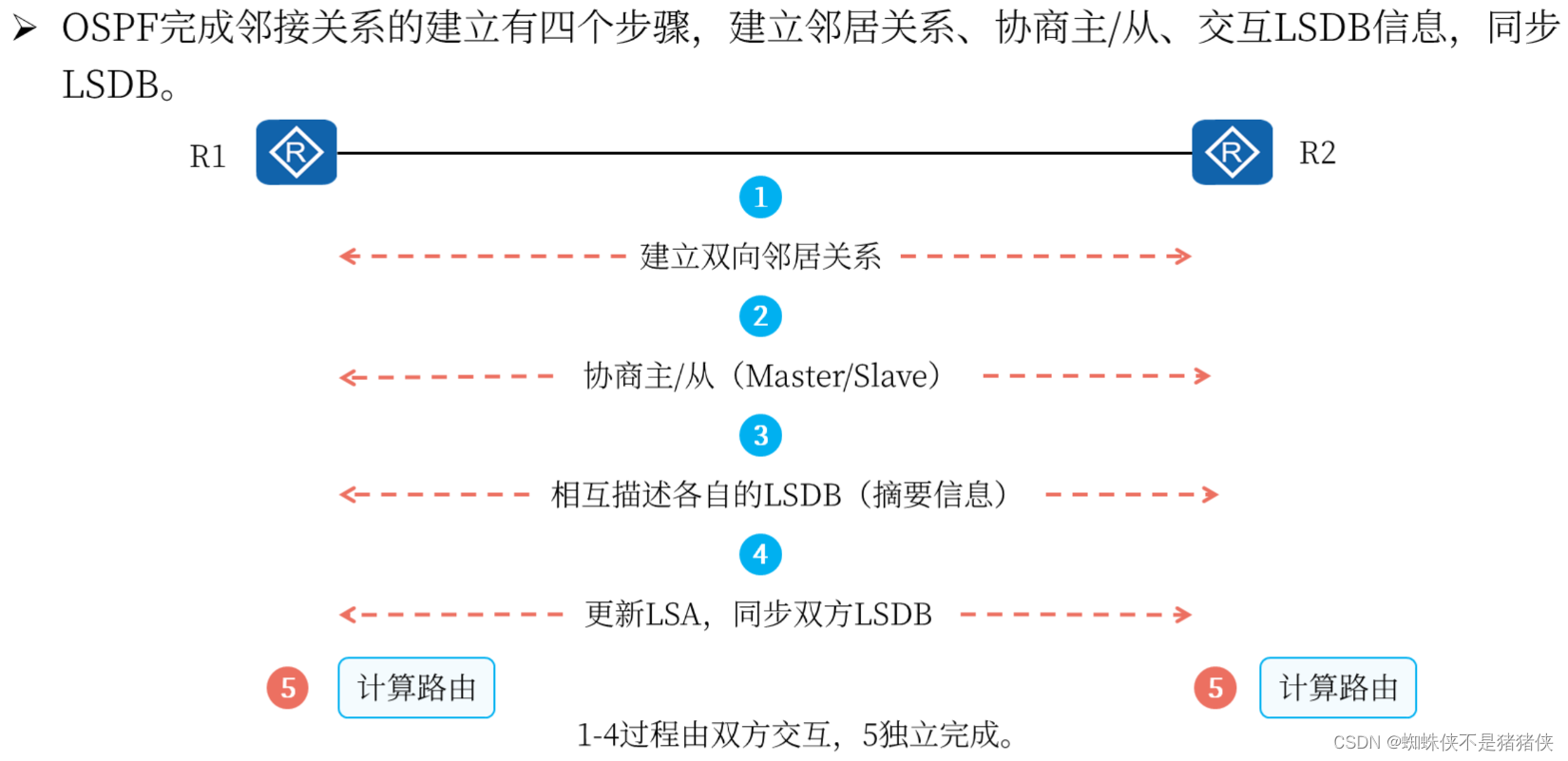 OSPF协议标准 ospf协议三个要点_运维_07