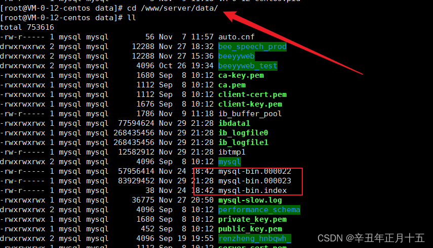 mysql bin log恢复数据 乱码 mysql根据binlog恢复数据_mysqlbinlog_02