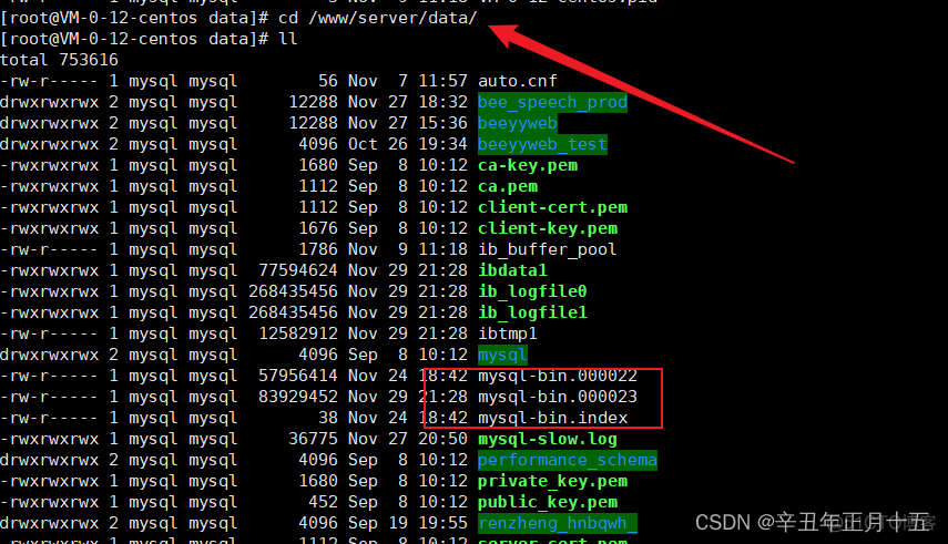 mysql bin log恢复数据 乱码 mysql根据binlog恢复数据_sql_02