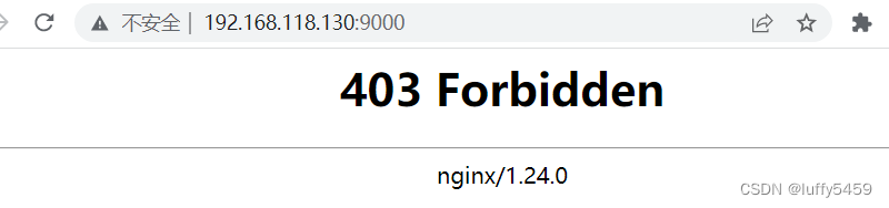 nginx只启动一个 启动两个nginx_nginx_03