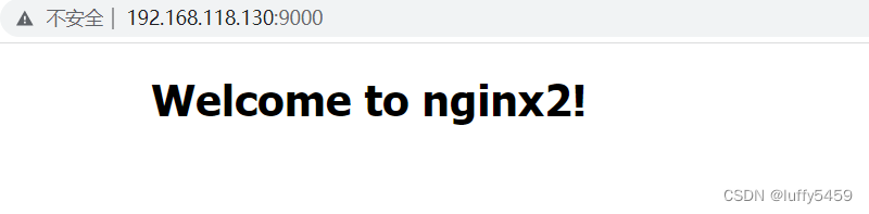 nginx只启动一个 启动两个nginx_user root_04