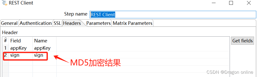 kettle rest client结果输出 kettle接口对接数据_Json input组件使用_09