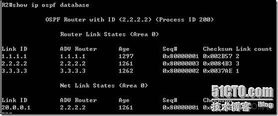 OSPF多区域概念 多区域ospf协议的配置_网络_21