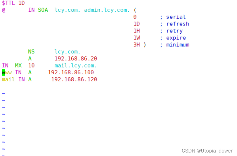 配置完resolve如何生效 resolvconf立即生效_vim_03