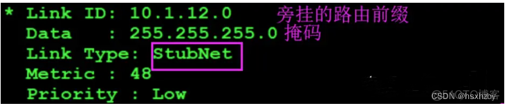 ospf 4类5类LSA ospf一类lsa类型_链路_03