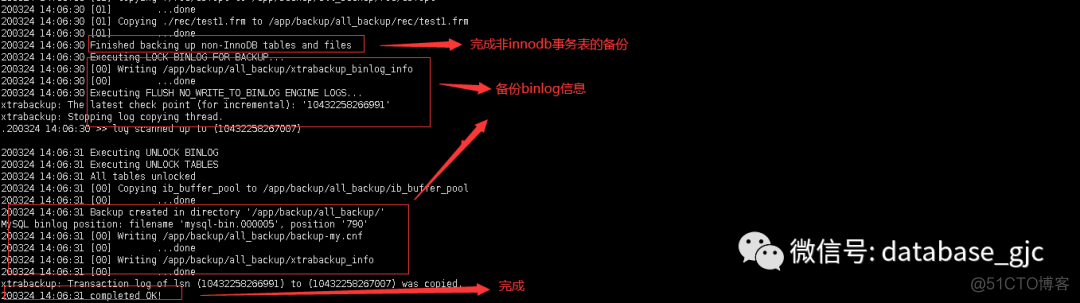 mysql 的data数据恢复 mysql数据恢复工具_mysql_05