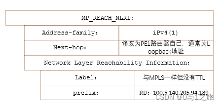 mpls ipv4报文 mpls报文格式_网络协议_06