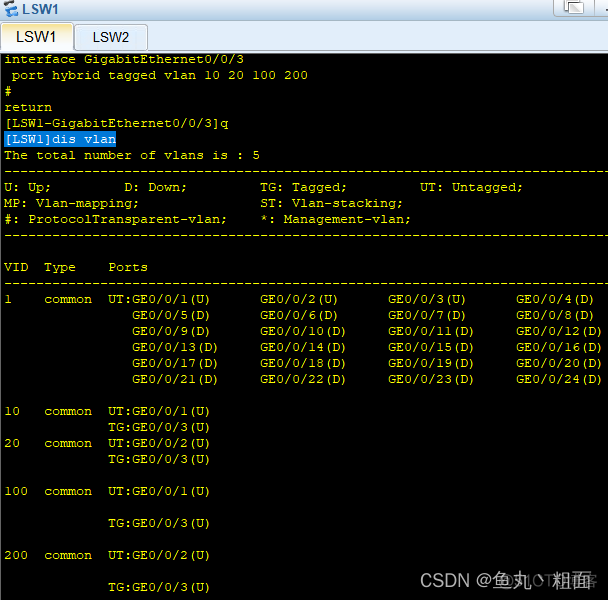 ensp为什么不能设置access的类型 ensp access_链路_11