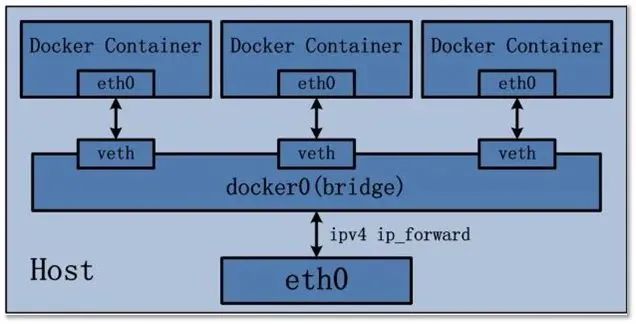 Docker运行应用后exited docker 运行程序_docker_11