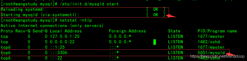 redis新增数据脚本格式 redis创建数据表_mysql_06