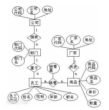 mysql er图连线关系 mysql的er图_php