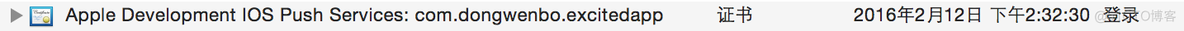 ios 推送证书p8转cer ios 推送证书配置_App_16