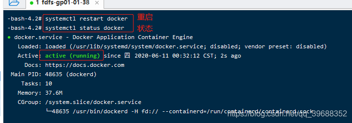 docker启动wvp docker启动命令_docker启动wvp_05