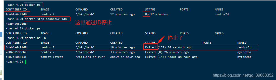 docker启动wvp docker启动命令_centos_21