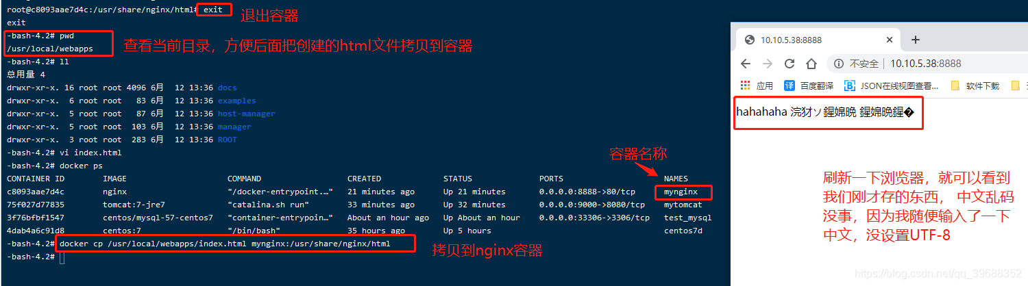 docker启动wvp docker启动命令_Docker_35