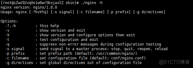 指定启动一个版本的nginx 启动nginx服务的命令是_Nginx_02