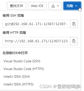 极狐与gitlab 极狐与黑狐_devops_17