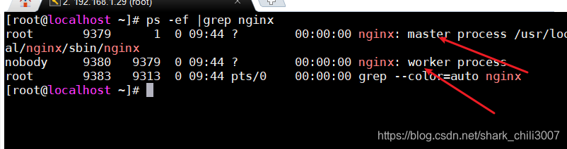 nginx 转发vue前端文件 nginx 转发http_centos_22