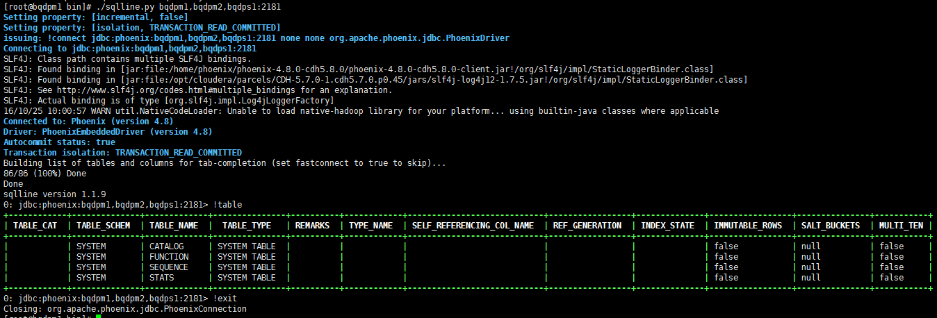 phoenix 连接hbase耗时 优化java hbase和phoenix对比使用_SQL_11