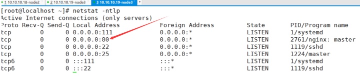 linux没有nginx编辑权限 nginx没有sbin_linux没有nginx编辑权限_02