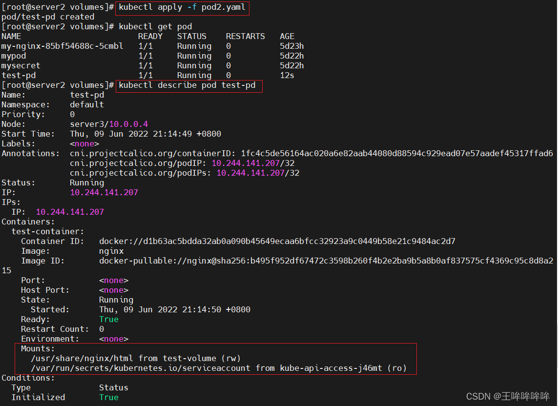 k8s pod开启临时容器功能 k8s 临时存储空间_docker_07