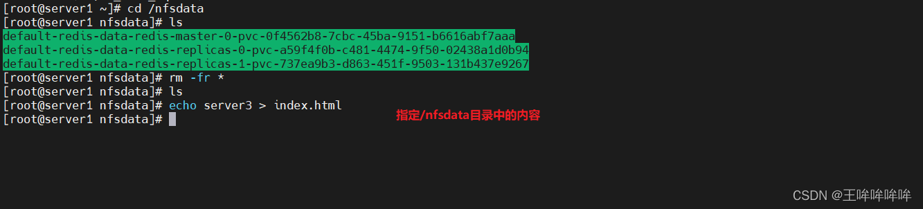 k8s pod开启临时容器功能 k8s 临时存储空间_kubernetes_15