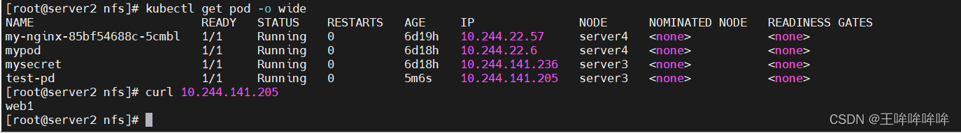 k8s pod开启临时容器功能 k8s 临时存储空间_kubernetes_34