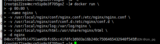 docker nginx容器内重启 docker 启动nginx_docker nginx容器内重启_02