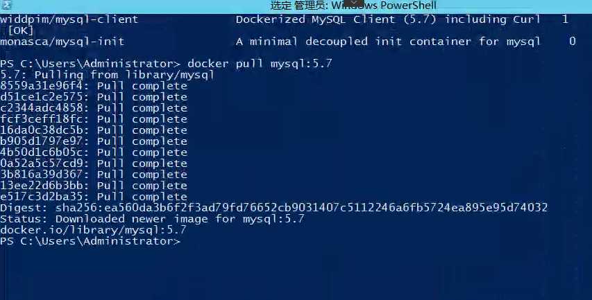 在windows2022server安装docker desktop windows server docker 怎么安装_docker_06