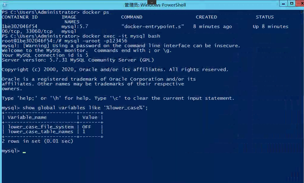 在windows2022server安装docker desktop windows server docker 怎么安装_mysql_07