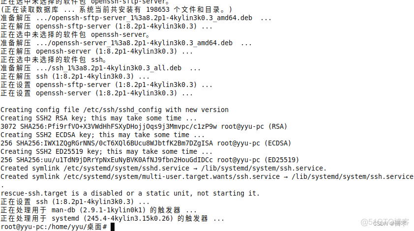 银河麒麟v10 sp3在线安装docker 银河麒麟v10 sp1安装_IP_29