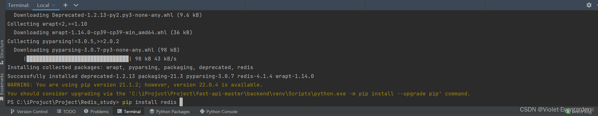 python SSH 操作redis python的redis_后端_02