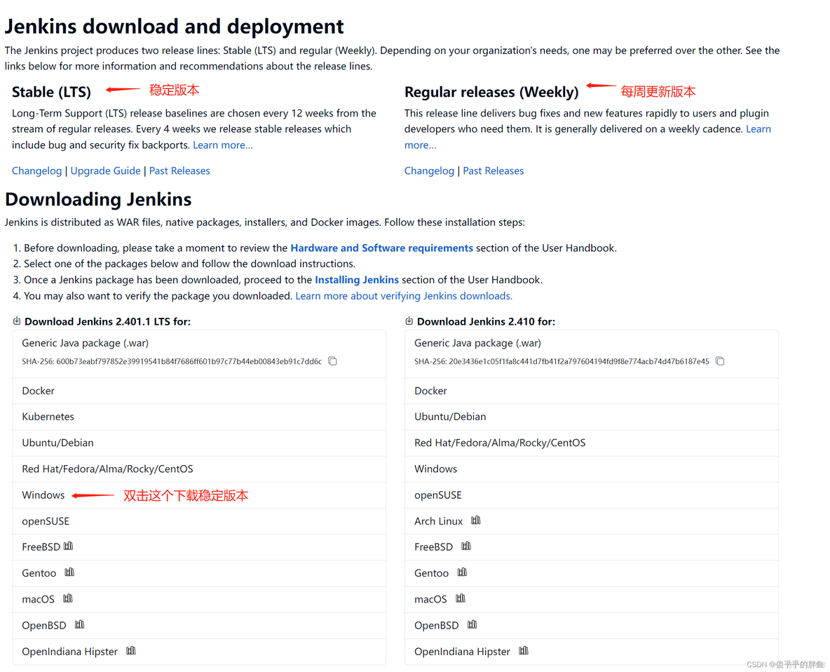 docke安装Jenkins 无法下载插件 windows安装jenkins_Java_03