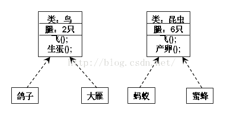 java接口名称可以有下划线吗 java接口能new吗_子类_03