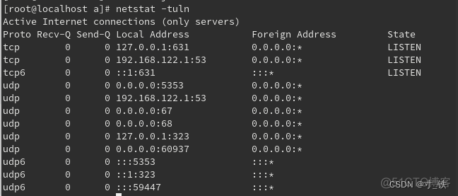 如何查看linux 运行java程序端口 linux查看java端口号_ss