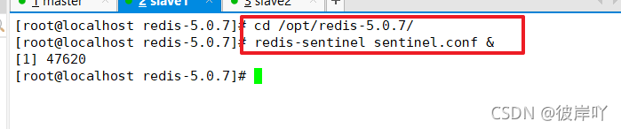 redis主从新增哨兵 redis主从哨兵集群部署_Redis_31