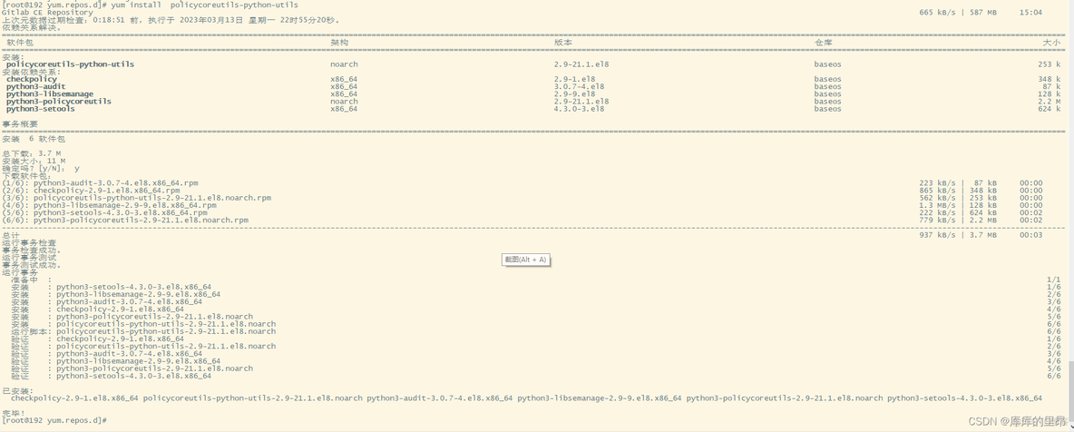 gitlab关于仓库的描述怎么添加 gitlab仓库搭建_gitlab_02