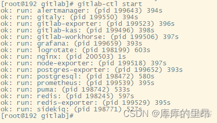 gitlab关于仓库的描述怎么添加 gitlab仓库搭建_gitlab_06