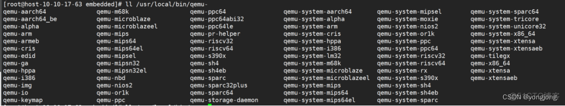 openeuler安装 mysql8 openEuler安装qemu_linux_02