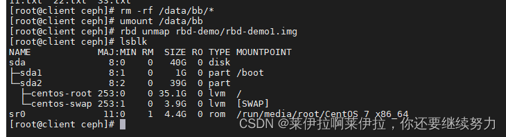 ceph存储与nfs ceph存储的优点_ceph存储与nfs_27