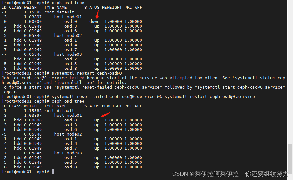 ceph存储与nfs ceph存储的优点_ceph_42