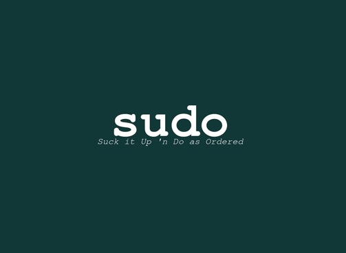 如何立即生效sudo sudo怎么设置_linux