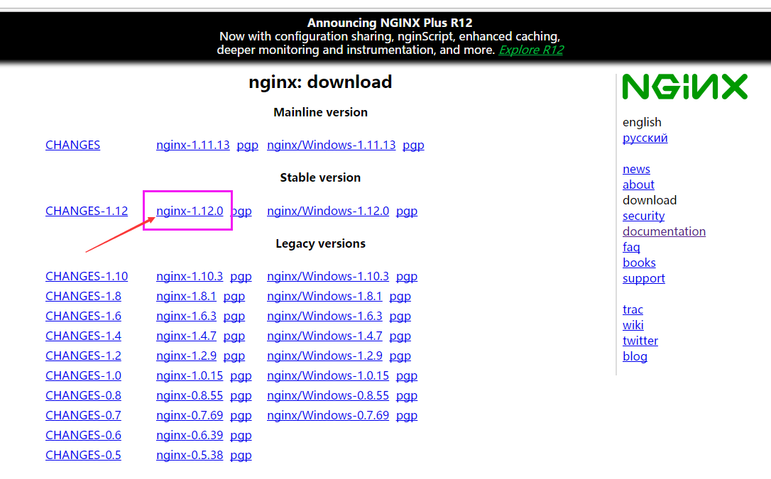 linux 配置nginx启动 linux启动nginx的命令_正则表达式