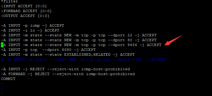 iptables 配置 INPUT 不起作用 iptables -l input_iptables