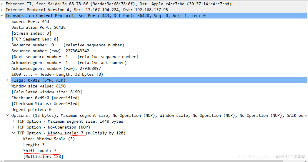 wireshark 设置rtp 负载类型 wireshark tcp window full_窗口大小_03