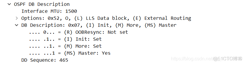 ospf抓取报文只有hello ospf抓包分析_OSPF_11