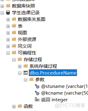 sql server 以什么开头 sql server2019属于_存储过程_08