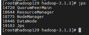 hadoop 集群 单节点重启 集群hadoop启动_服务器_11