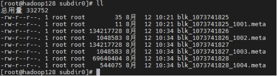 hadoop 集群 单节点重启 集群hadoop启动_服务器_18