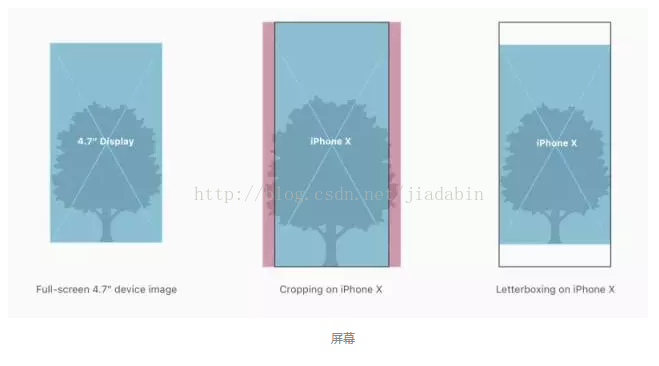 iOS 最新屏幕适配 ios适配尺寸_iphone X_02